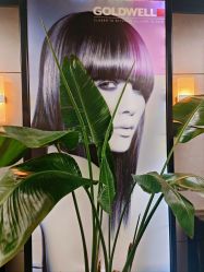 -Z.X HAIR SALON张新美业