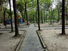 -溱湖国家湿地公园