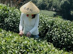 -龙井壹号·茶缘山景宴(龙井村店)