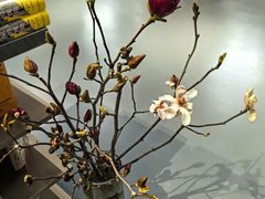 -方庄书店(通润商务会馆店)