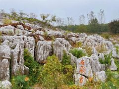 -宜兴龙背山森林公园