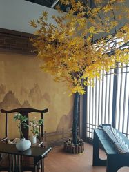 -可优蜜儿童摄影