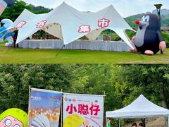 -广西壮族自治区药用植物园
