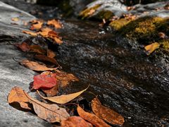 -塔云山