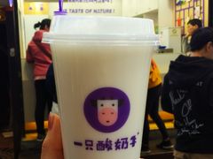 -一只酸奶牛(八一路店)