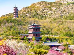 -石岛赤山风景区