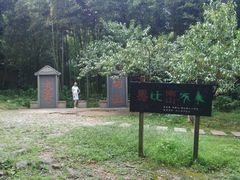 -镇江市南山风景名胜区竹林景区