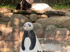 -广州长隆野生动物世界