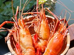 -徐岛主·特色农家乐(阳澄湖莲花岛店)