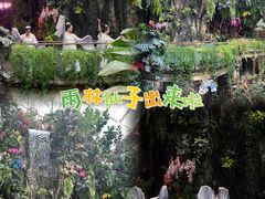 -正佳雨林生态植物园