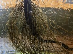 -六区宿舍咖啡店