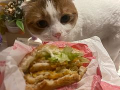 -汤姆家的牛排意面披萨(新城市广场店)