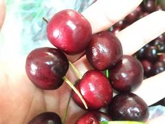 -沈阳市八家子水果批发市场