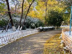 -丰台科技园生态主题公园