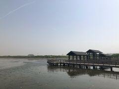 -天津东丽湖风景区