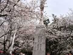 -武汉大学-樱园