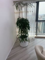-HEYAN荷妍专业脱毛连锁机构
