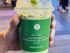 -茉酸奶(春熙路店)