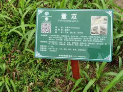 -广西壮族自治区药用植物园