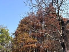 -四海公园(南山区)