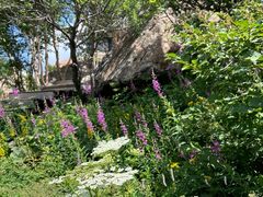 -白草畔自然风景区