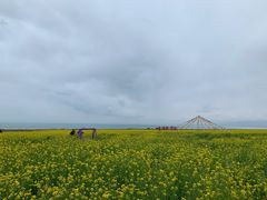 -青海湖国家重点风景名胜区