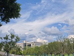 -洋湖国家湿地公园