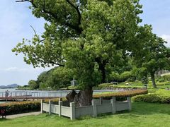 -东钱湖旅游度假区