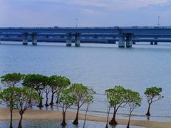 -集美学村