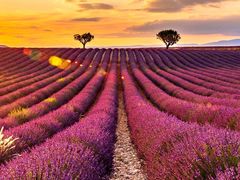 -采石矶-马鞍山太白楼