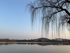 -羊山湖公园