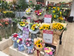 -AEON永旺(东方宝泰店)