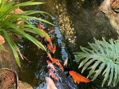 -聚缘堂·海鲜私房菜(松岭路店)
