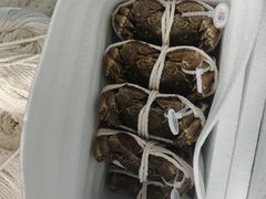 -阳澄湖大闸蟹·琼灵阁牌品牌连锁(吴中总店)