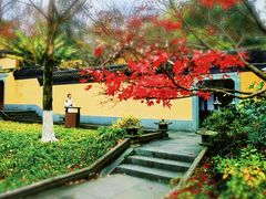 -慧因高丽寺