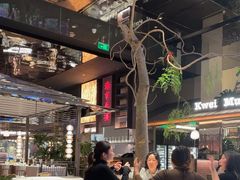 -桂满陇·海市蜃楼·黑金(国金店)