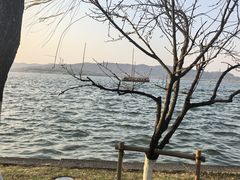 -西湖游船