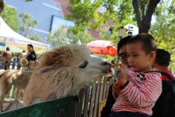 -萌宠亲子动物乐园(槐房万达店)