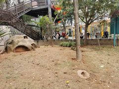 -灵玲国际马戏城