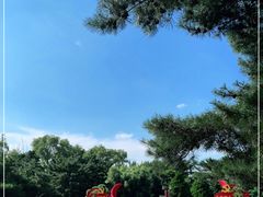 -北陵公园