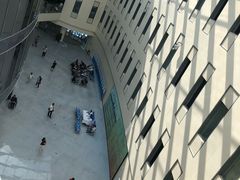 -首都医科大学附属北京天坛医院