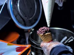 -复旦大学正大集团体育馆