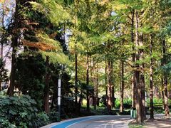 -苏州河梦清园环保主题公园