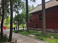 -洛阳白马寺