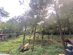 -梦幻奥陶纪景区