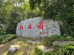 -上海海湾国家森林公园