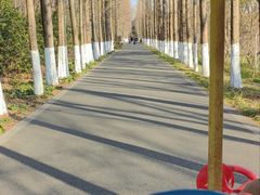 -昆山城市生态森林公园