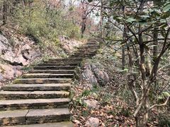 -八卦田遗址公园