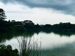 -福田红树林生态公园