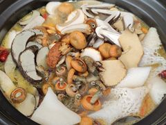 -野菌皇海景野生菌火锅(滨海大道店)